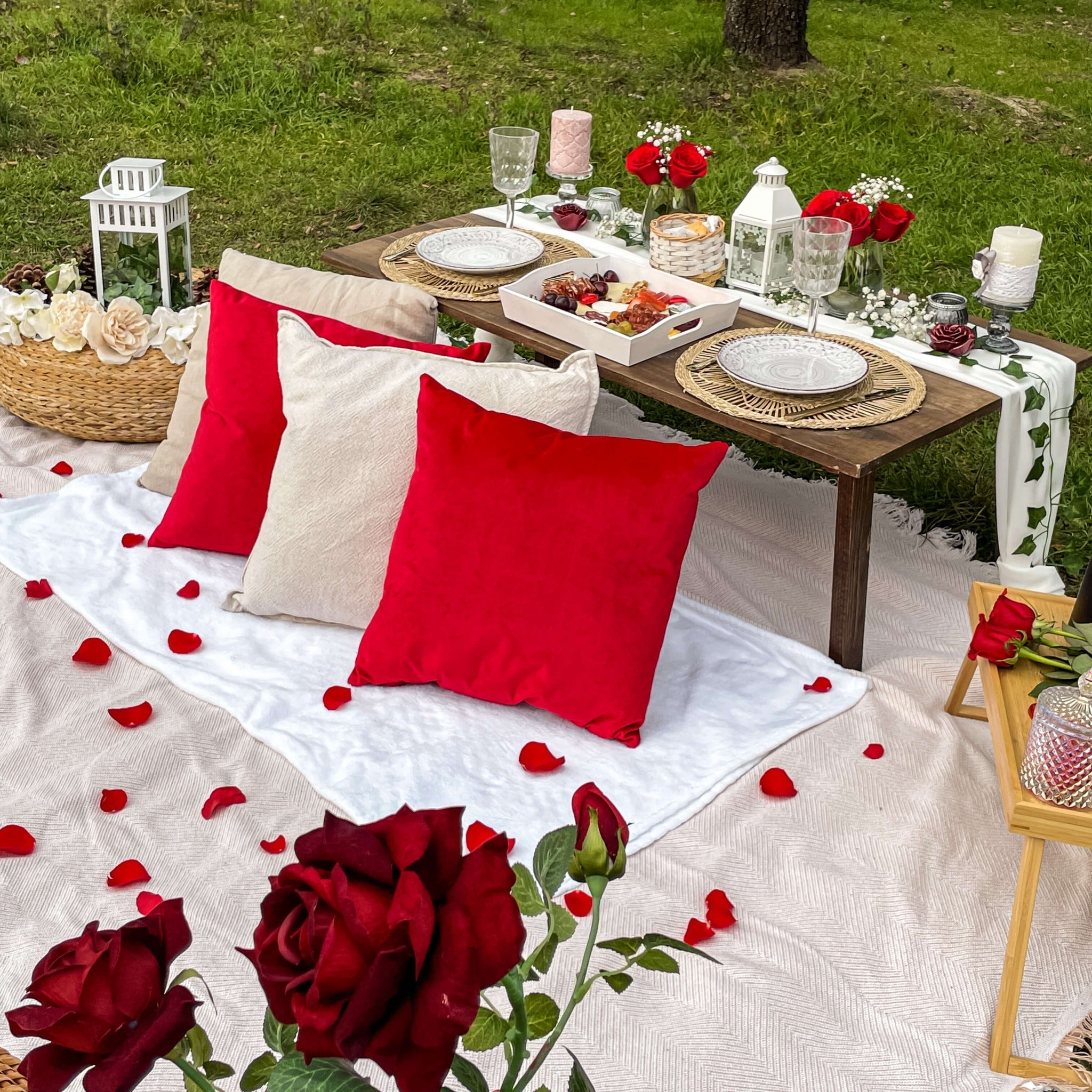 Pedida de Mano Original Madrid Picnic Romántico Vibe Picnic