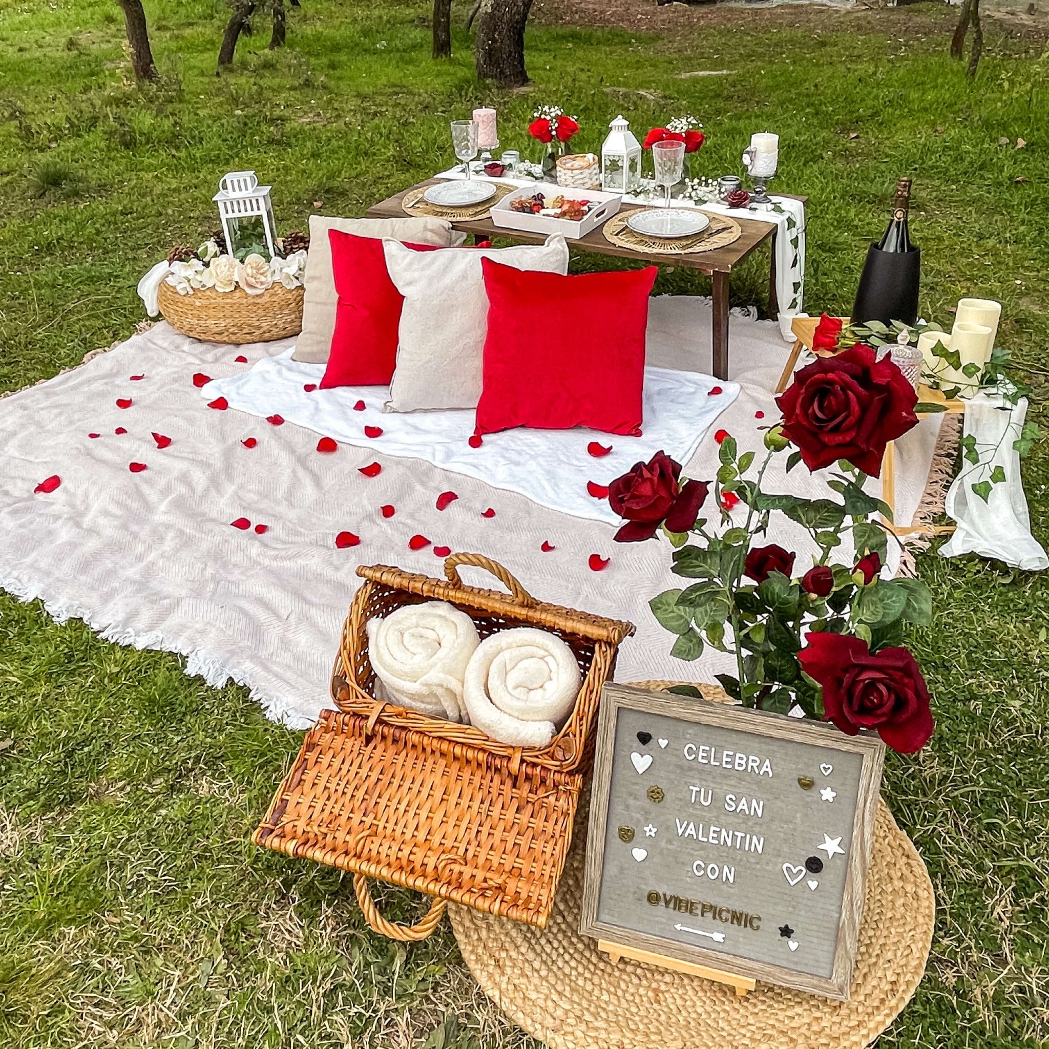 Pedida de Mano Original Madrid Picnic Romántico Vibe Picnic
